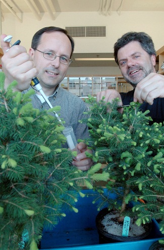 2002 John MacKay, Jean Bousquet