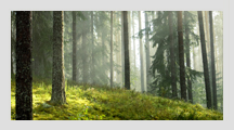 icone-environnement