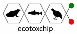 Toxicity test - EcoToxChip - genomics